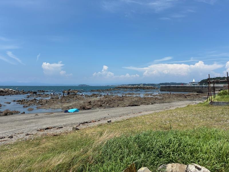 葉山町堀内の賃貸物件/物件前の海｜磯もある。大人、子供、いろんな遊び方、過ごし方が出来ます。