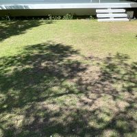 葉山町下山口の売買物件/芝生に映る木の影も美しい