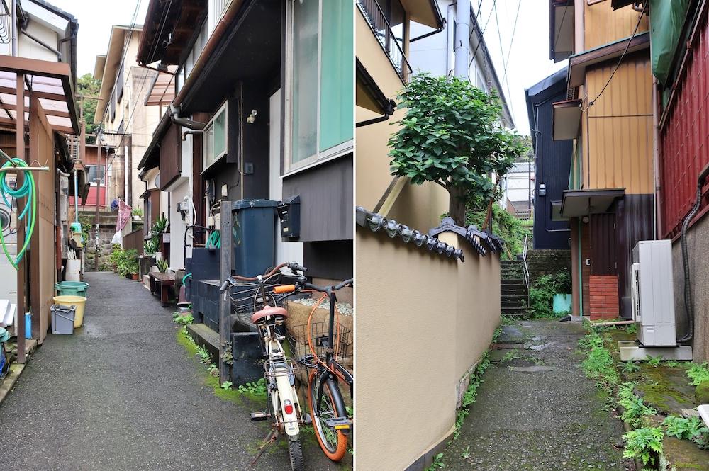 藤沢市江の島一丁目の賃貸物件/江ノ島界隈（その２）猫と人がいっぱいいます