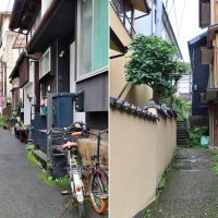 藤沢市江の島一丁目の賃貸物件/江ノ島界隈（その２）猫と人がいっぱいいます