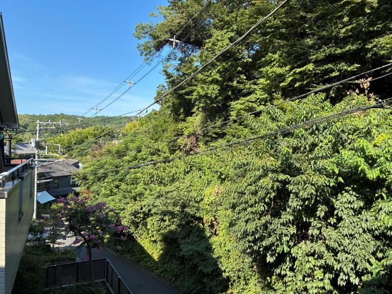 鎌倉市山ノ内の賃貸物件/バルコニーからの眺望｜物件前の山が、遠くまでずっと続いていくような景色です。