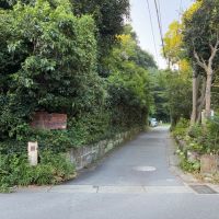 鎌倉市二階堂の賃貸物件/近隣｜この道を進んだ先には永福寺跡、テニスコートが。