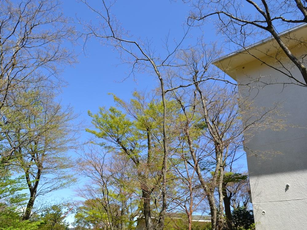 箱根町強羅の賃貸物件