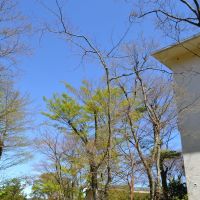 箱根町強羅の賃貸物件