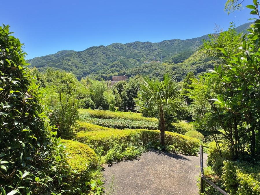 足柄下郡湯河原町宮上の売買物件/庭からの眺望｜階段を上って振り返るとこの眺望。向こう側の山まで緑がつながっています