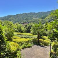 足柄下郡湯河原町宮上の売買物件/庭からの眺望｜階段を上って振り返るとこの眺望。向こう側の山まで緑がつながっています