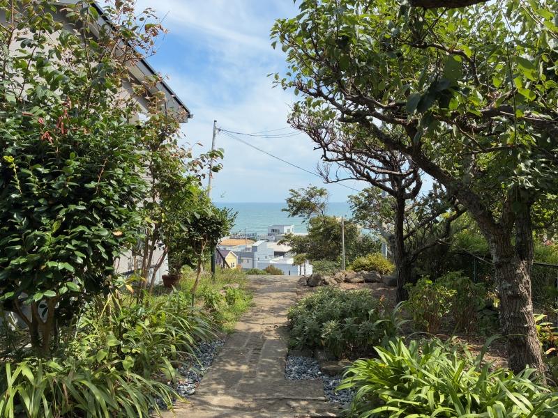 鎌倉市稲村ガ崎三丁目の賃貸物件/アプローチ｜木々の間から見える稲村ガ崎の海と空。