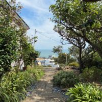 鎌倉市稲村ガ崎三丁目の賃貸物件/アプローチ｜木々の間から見える稲村ガ崎の海と空。