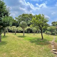 葉山町上山口の売買物件/多くの植樹が丁寧に管理されて続けています