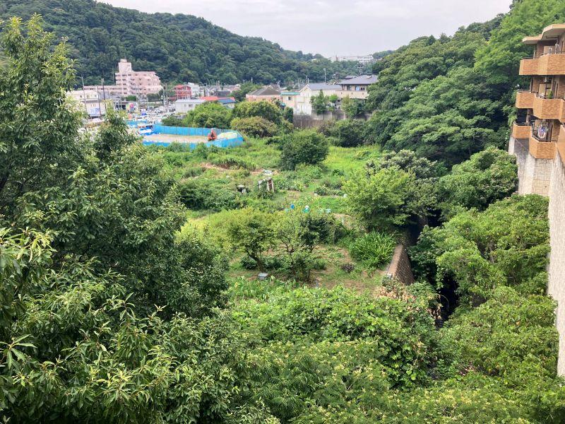 三浦郡葉山町長柄の売買物件/眺望｜バルコニーからは驚くほど広い市民農園と、目下には川も流れています。