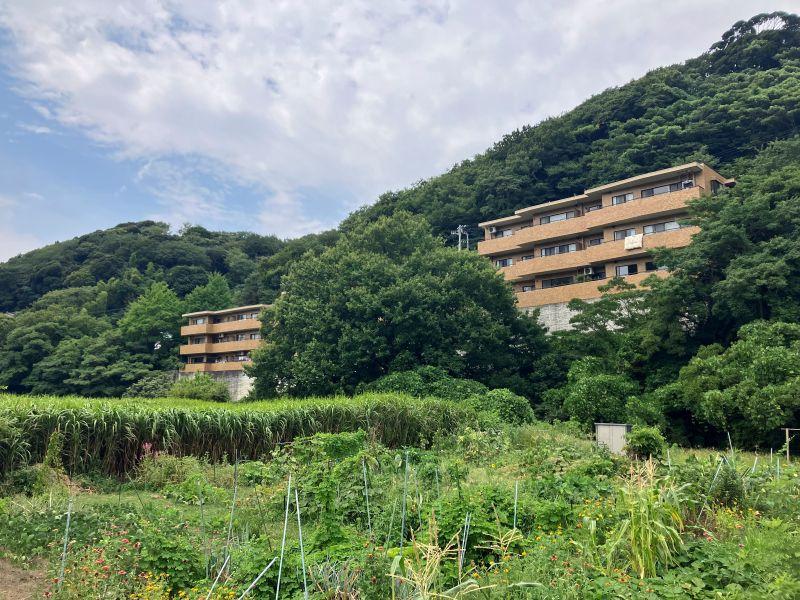 三浦郡葉山町長柄の売買物件/外観｜山の斜面に沿うように建っています。