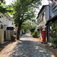 鎌倉市雪ノ下三丁目の賃貸物件/周辺｜近くの桜道には、飲食店もちらほら。源頼朝が鎌倉で最初に開いた大蔵幕府跡地になるようです。