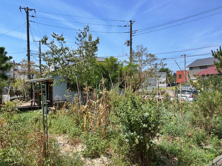 藤沢市辻堂元町三丁目の賃貸物件/畑と平屋｜住人が利用できる約16平米の畑。そろそろ秋野菜の種まきでしょうか