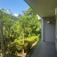 鎌倉市小町二丁目の賃貸物件/1階共有部│植栽と青空、突き当りを右に進むと玄関です。