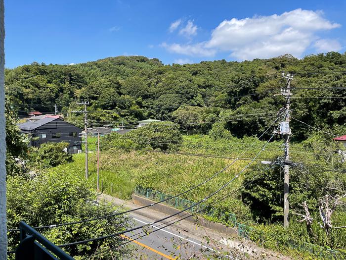 鎌倉市常盤の売買物件/道路挟んで北側は歴史的風土保存区域。緑の風景は守られます。秋が綺麗なんですよ