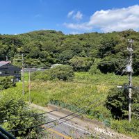 鎌倉市常盤の売買物件/道路挟んで北側は歴史的風土保存区域。緑の風景は守られます。秋が綺麗なんですよ
