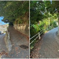 鎌倉市山崎の賃貸物件/物件まで至る道。途中から少し細く、急坂となります