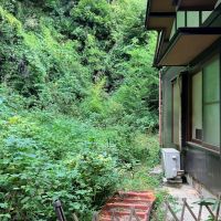 鎌倉市浄明寺四丁目の売買物件/庭｜建物から1ｍ程度まで敷地内、そこから先は隣地の緑地につながっています。