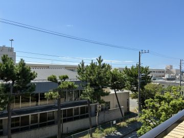 茅ヶ崎市東海岸南四丁目の賃貸物件/青春は海風に乗って