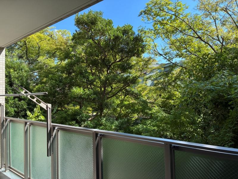 鎌倉市二階堂の賃貸物件/バルコニー｜この木々の下には川が流れています。