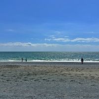 中郡大磯町大磯の売買物件/海岸｜思い思いに過ごす人がちらほら。毎日でも散歩したい