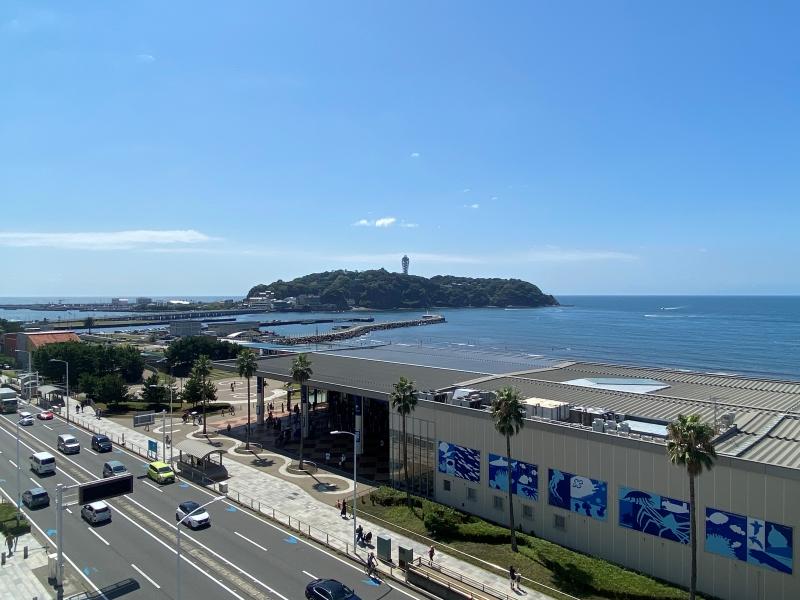 藤沢市片瀬海岸二丁目の売買物件/窓に近づいてみると、江の島が中央に。