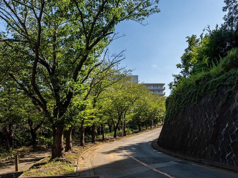 三浦市初声町下宮田の売買物件/周辺｜桜並木の坂。進んでいくと駅に着きます