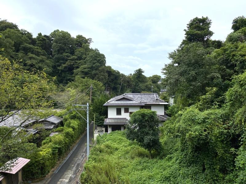 鎌倉市雪ノ下二丁目の売買物件/2階南側の洋室からの眺め。緑に囲まれた谷戸の地形です。南側に隣接する土地は鎌倉市が管理しており、現在住宅はありません。