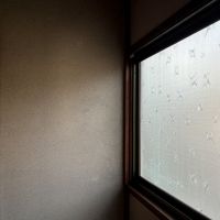 横須賀市芦名一丁目の賃貸物件/2階 廊下｜模様の入った昭和ガラス。いまではもう作られていないものです。