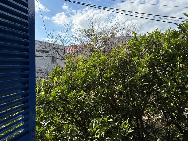 鎌倉市材木座二丁目の賃貸物件/2階の洋室から、玄関前の夏みかんの木が見えます