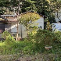 鎌倉市材木座二丁目の賃貸物件/庭の様子