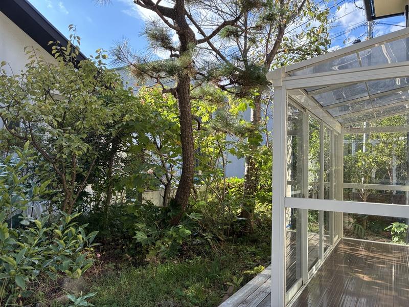 鎌倉市材木座二丁目の賃貸物件/庭