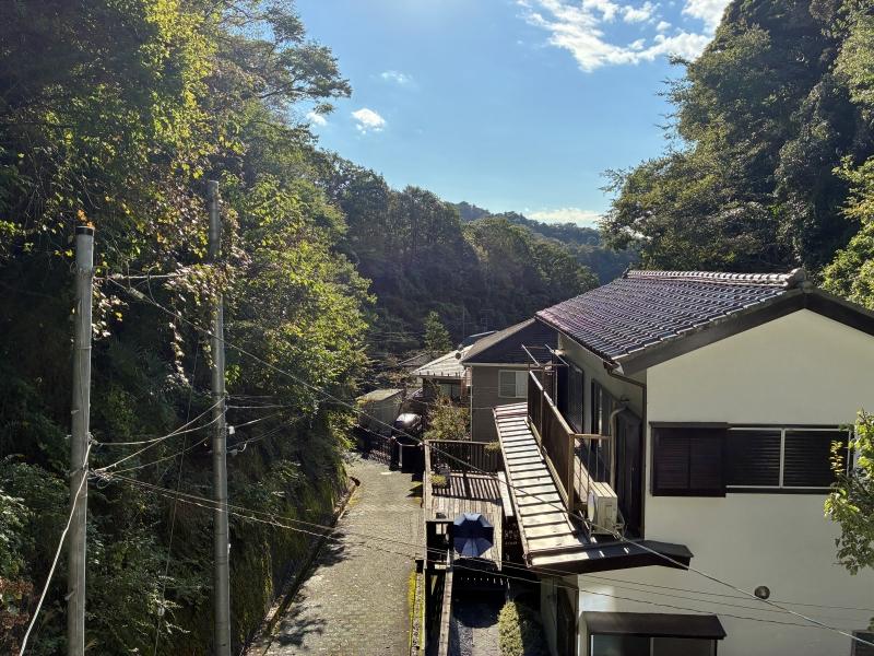 鎌倉市浄明寺四丁目の賃貸物件/眺望|細い谷間に家が並ぶ、これぞ鎌倉の谷戸と言える風景