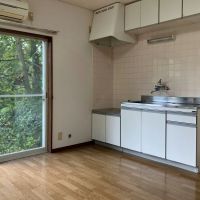 鎌倉市山ノ内の賃貸物件/1階LDK｜ミニキッチンもついてます。一部、床のシートに膨れがあります。