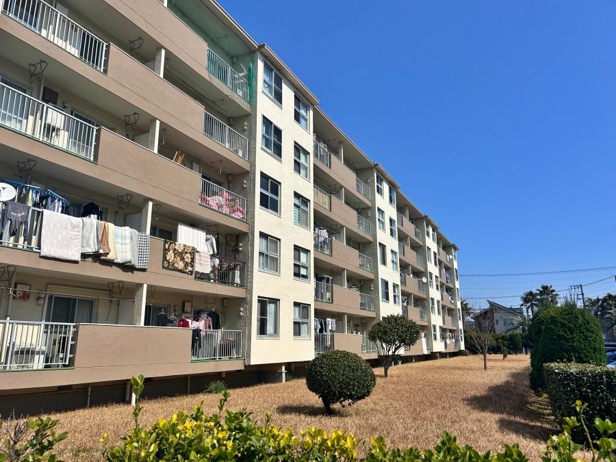 藤沢市辻堂西海岸二丁目の売買物件/外観｜5階建ての団地です