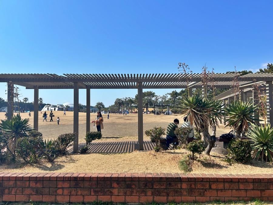 藤沢市辻堂西海岸二丁目の売買物件/徒歩3分の辻堂海浜公園｜とにかく広くてみんな思い思いに過ごしています