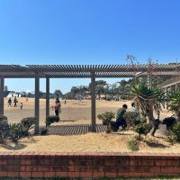 藤沢市辻堂西海岸二丁目の売買物件/徒歩3分の辻堂海浜公園｜とにかく広くてみんな思い思いに過ごしています