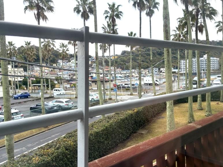 逗子市小坪五丁目の賃貸物件/窓から外を見てみます。ヤシの木の向こうに漁港が見えます