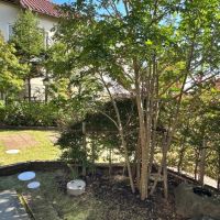 鎌倉市扇ガ谷一丁目の賃貸物件/1階庭スペース｜駐車場から玄関へのアプローチから簡単に入って来れてしまう点は気になる方もいるかも