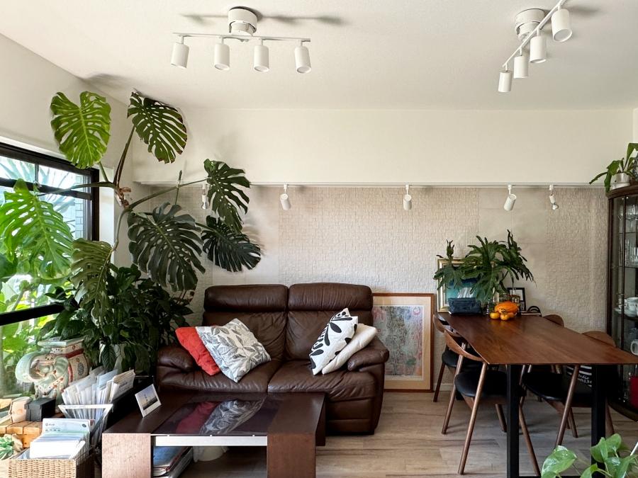 葉山町堀内の売買物件/リビング｜日当たりの良いリビング