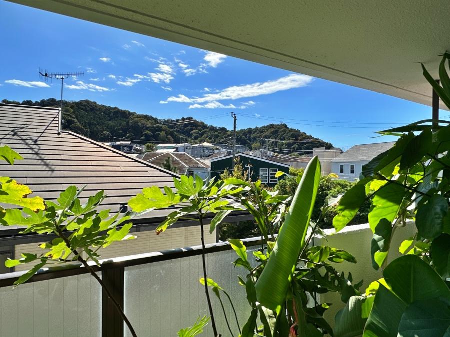 葉山町堀内の売買物件/リビングのバルコニー｜こちらからは三ヶ岡山緑地が望めます