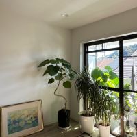 葉山町堀内の売買物件/リビングの隣の洋室｜窓際にはやはり観葉植物