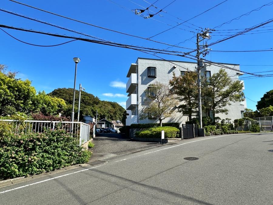 葉山町堀内の売買物件/外観｜前面道路もゆったりしていて緑も多いです