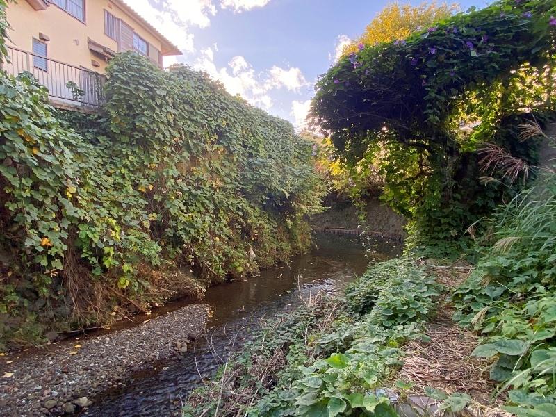 鎌倉市二階堂の売買物件/周辺環境│敷地南側に滑川が流れています