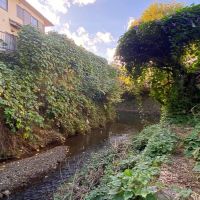 鎌倉市二階堂の売買物件/周辺環境│敷地南側に滑川が流れています