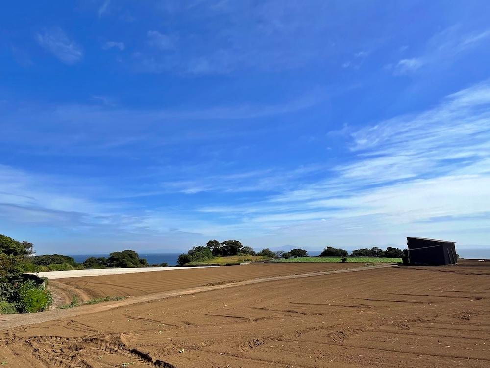 三浦市南下浦町金田の売買物件/近隣｜裏手の道を上がるとこの畑VIEW!!