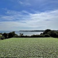 三浦市南下浦町金田の売買物件/そして三浦大根畑から、畑・海・空の三浦眺望