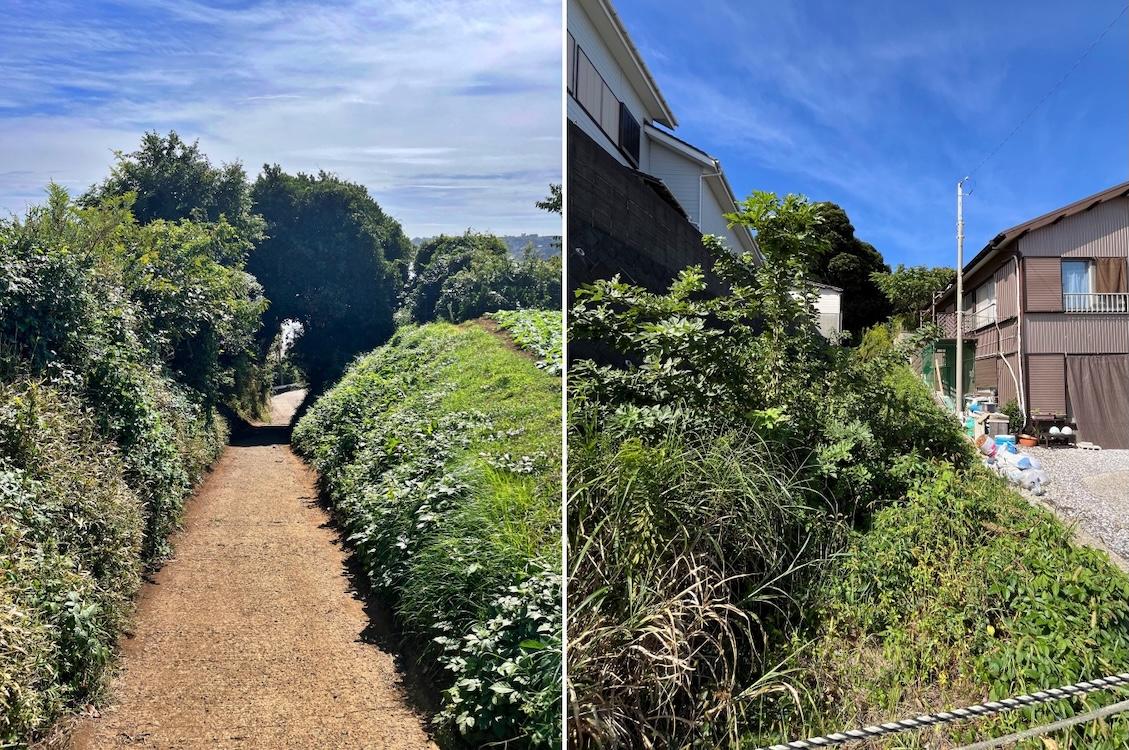 三浦市南下浦町金田の売買物件/左：畑に向かう道｜右：はなれの土地のアプローチ