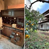 三浦市初声町和田の売買物件/左：勝手口に置かれたインテリア｜右：みかんと玄関