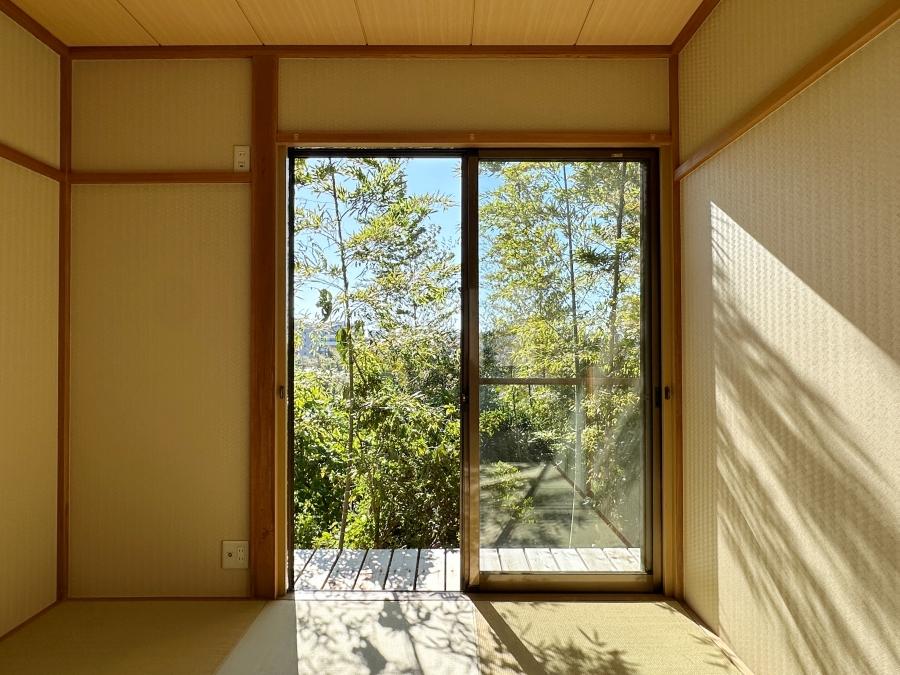 藤沢市大鋸三丁目の売買物件/和室｜和室と緑。お茶を点てるしかありません